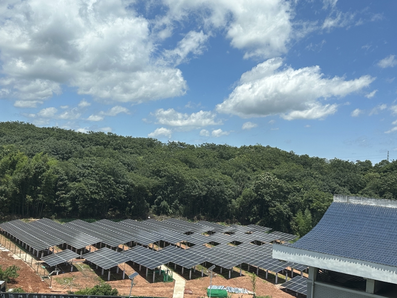 20230712190329.jpg c4012bc4fb8f1f3afe8ff9c5b53755c.jpg